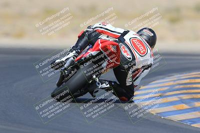 media/May-13-2023-SoCal Trackdays (Sat) [[8a473a8fd1]]/Turn 11 Backside (945am)/